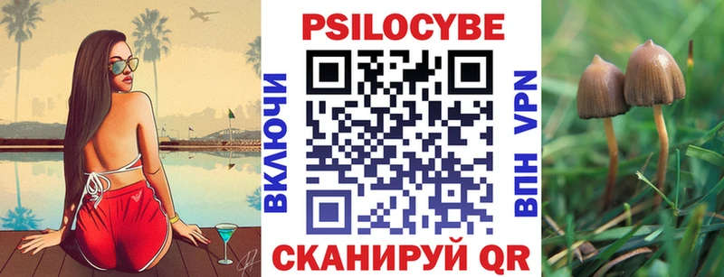 Псилоцибиновые грибы ЛСД  Петрозаводск 